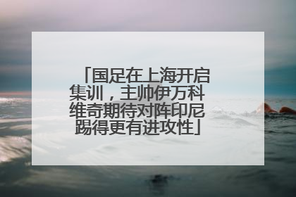 国足在上海开启集训，主帅伊万科维奇期待对阵印尼踢得更有进攻性