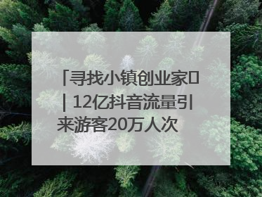 寻找小镇创业家㊱｜12亿抖音流量引来游客20万人次 “襄阳许三多”爆改家乡打造网红村