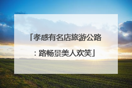 孝感有名店旅游公路：路畅景美人欢笑