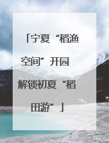 宁夏“稻渔空间”开园 解锁初夏“稻田游”