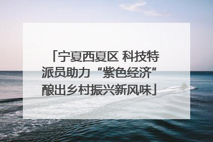 宁夏西夏区 科技特派员助力“紫色经济”酿出乡村振兴新风味