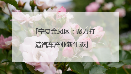宁夏金凤区：聚力打造汽车产业新生态
