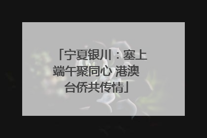 宁夏银川：塞上端午聚同心 港澳台侨共传情