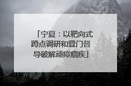 宁夏：以靶向式蹲点调研和登门督导破解顽瘴痼疾