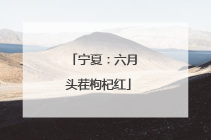 宁夏：六月头茬枸杞红