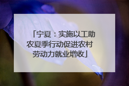 宁夏：实施以工助农夏季行动促进农村劳动力就业增收