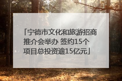 宁德市文化和旅游招商推介会举办 签约15个项目总投资逾15亿元
