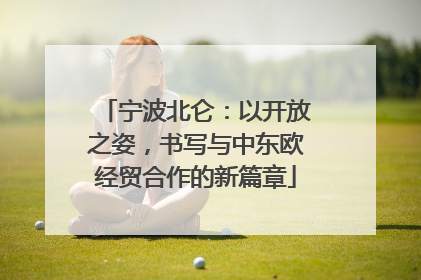 宁波北仑：以开放之姿，书写与中东欧经贸合作的新篇章
