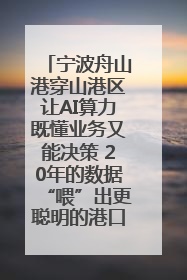 宁波舟山港穿山港区让AI算力既懂业务又能决策 20年的数据“喂”出更聪明的港口