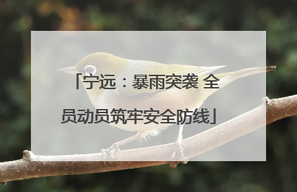 宁远：暴雨突袭 全员动员筑牢安全防线