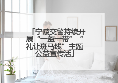 宁陵交警持续开展“一盔一带”“礼让斑马线”主题公益宣传活