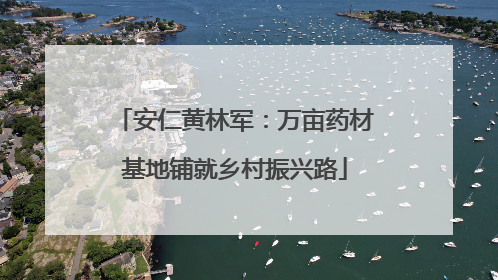 安仁黄林军：万亩药材基地铺就乡村振兴路