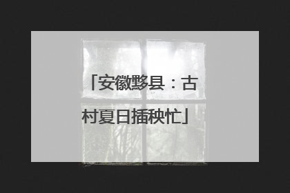 安徽黟县：古村夏日插秧忙