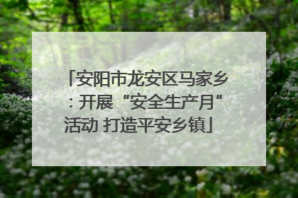 安阳市龙安区马家乡：开展“安全生产月”活动 打造平安乡镇