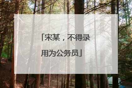 宋某，不得录用为公务员