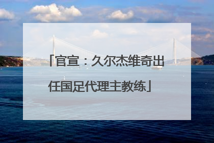 官宣：久尔杰维奇出任国足代理主教练
