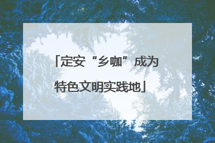 定安“乡咖”成为特色文明实践地