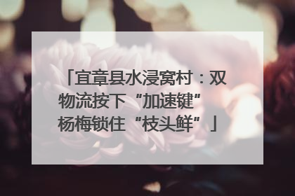 宜章县水浸窝村：双物流按下“加速键” 杨梅锁住“枝头鲜”