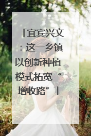 宜宾兴文：这一乡镇以创新种植模式拓宽“增收路”