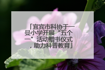 宜宾市科协于一曼小学开展“五个一”活动赠书仪式，助力科普教育