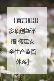 宜昌推出多项创新举措 构建安全生产监管体系