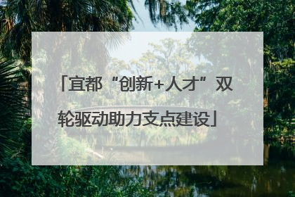 宜都“创新+人才”双轮驱动助力支点建设