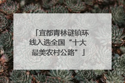 宜都青林谜镇环线入选全国“十大最美农村公路”