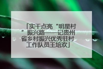 实干点亮“明星村”振兴路——记贵州省乡村振兴优秀驻村工作队员王培欢