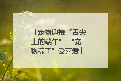 宠物迎接“舌尖上的端午” “宠物粽子”受喜爱