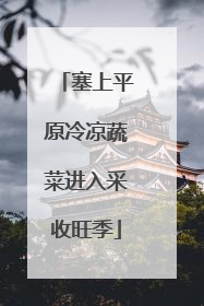 塞上平原冷凉蔬菜进入采收旺季