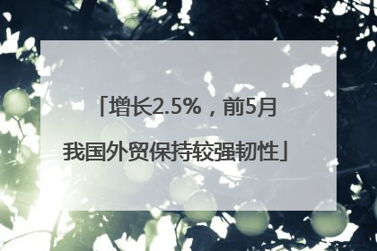 增长2.5%，前5月我国外贸保持较强韧性
