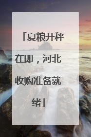 夏粮开秤在即，河北收购准备就绪