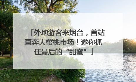 外地游客来烟台，首站直奔大樱桃市场！邀你抓住最后的“甜蜜”