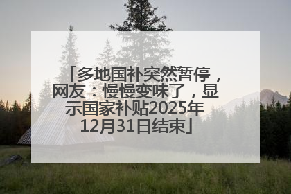多地国补突然暂停，网友：慢慢变味了，显示国家补贴2025年12月31日结束