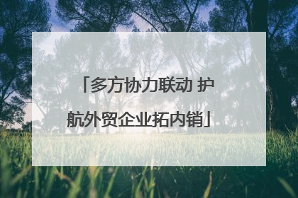 多方协力联动 护航外贸企业拓内销