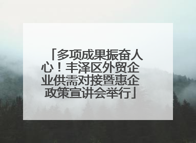 多项成果振奋人心！丰泽区外贸企业供需对接暨惠企政策宣讲会举行