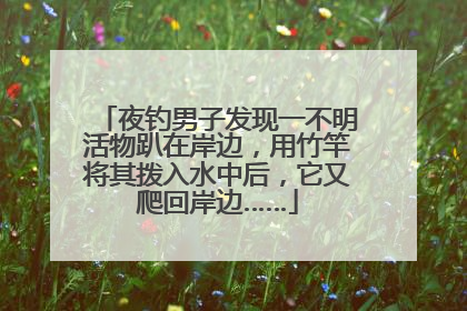 夜钓男子发现一不明活物趴在岸边，用竹竿将其拨入水中后，它又爬回岸边……