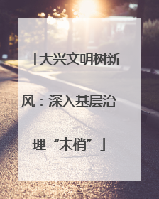 大兴文明树新风：深入基层治理“末梢”