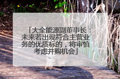 大全能源副董事长：未来若出现符合主营业务的优质标的，将审慎考虑并购机会