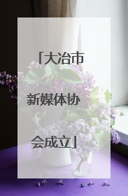 大冶市新媒体协会成立