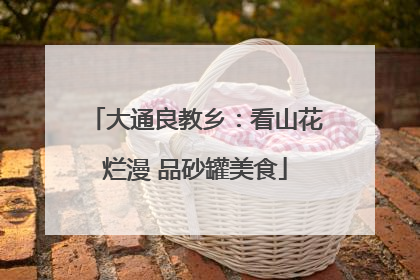 大通良教乡：看山花烂漫 品砂罐美食