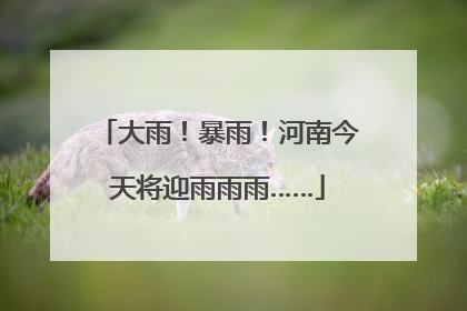 大雨！暴雨！河南今天将迎雨雨雨……