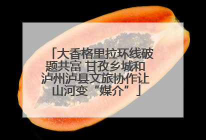 大香格里拉环线破题共富 甘孜乡城和泸州泸县文旅协作让山河变“媒介”