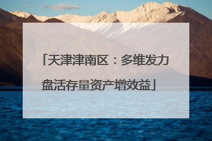 天津津南区：多维发力盘活存量资产增效益