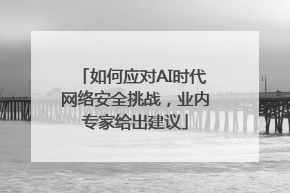 如何应对AI时代网络安全挑战，业内专家给出建议