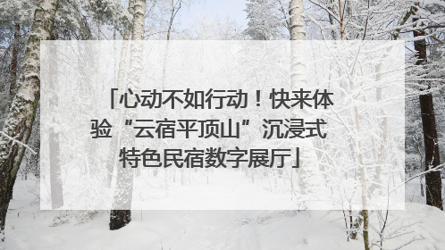心动不如行动！快来体验“云宿平顶山”沉浸式特色民宿数字展厅