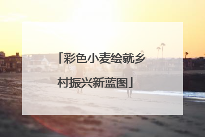 彩色小麦绘就乡村振兴新蓝图