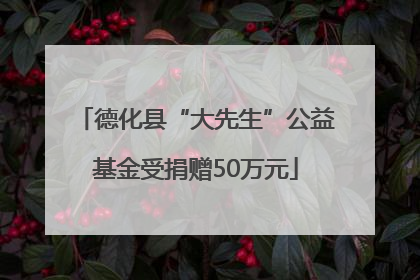 德化县“大先生”公益基金受捐赠50万元
