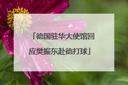 德国驻华大使馆回应樊振东赴德打球