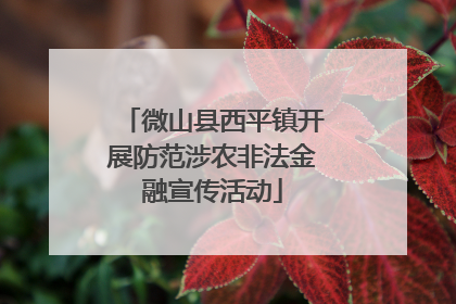 微山县西平镇开展防范涉农非法金融宣传活动